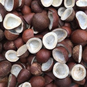 Dried Coconut