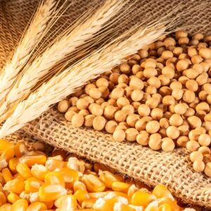 Animal Feed
